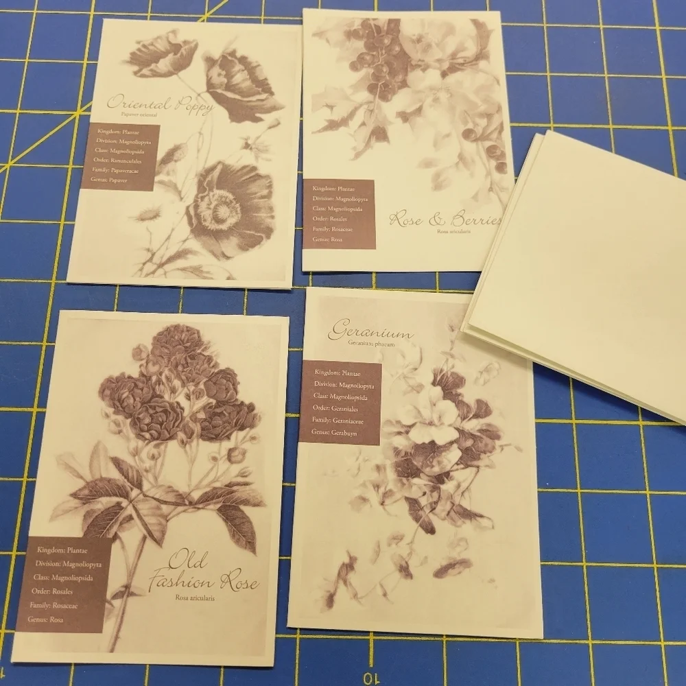 Garner Set of 4 Flower Blank Note Cards